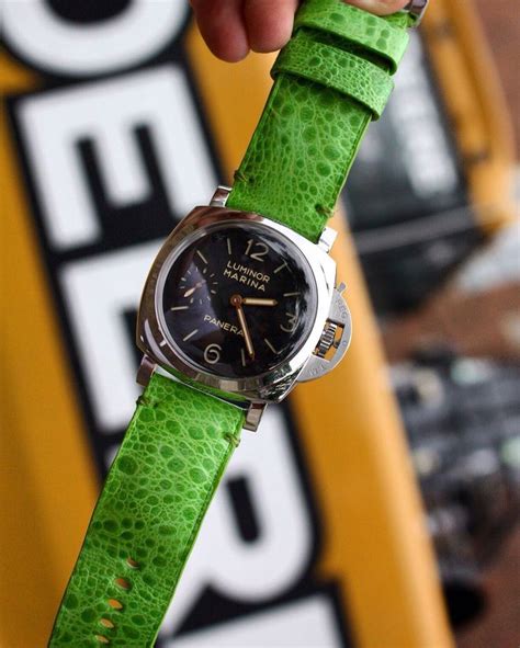 panerai on green leather strap|More.